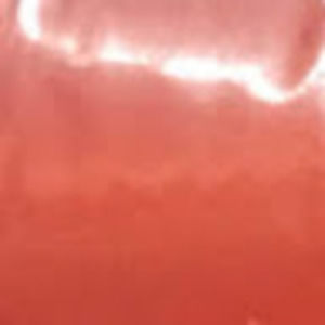 Meet your Posher, Harrisyn